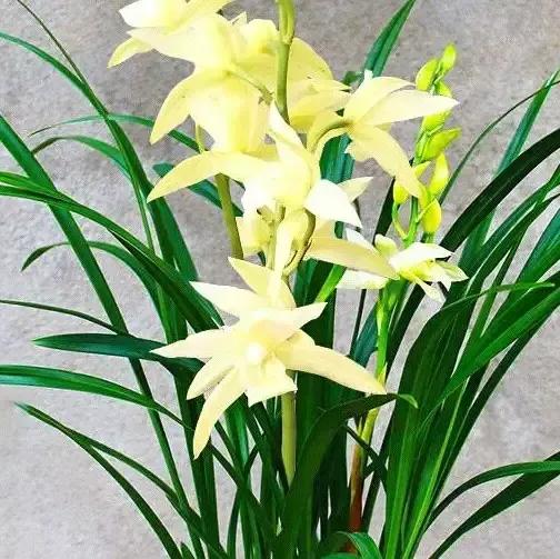 睡觉四肢瘫软无法动弹,20岁小伙突然四肢瘫痪