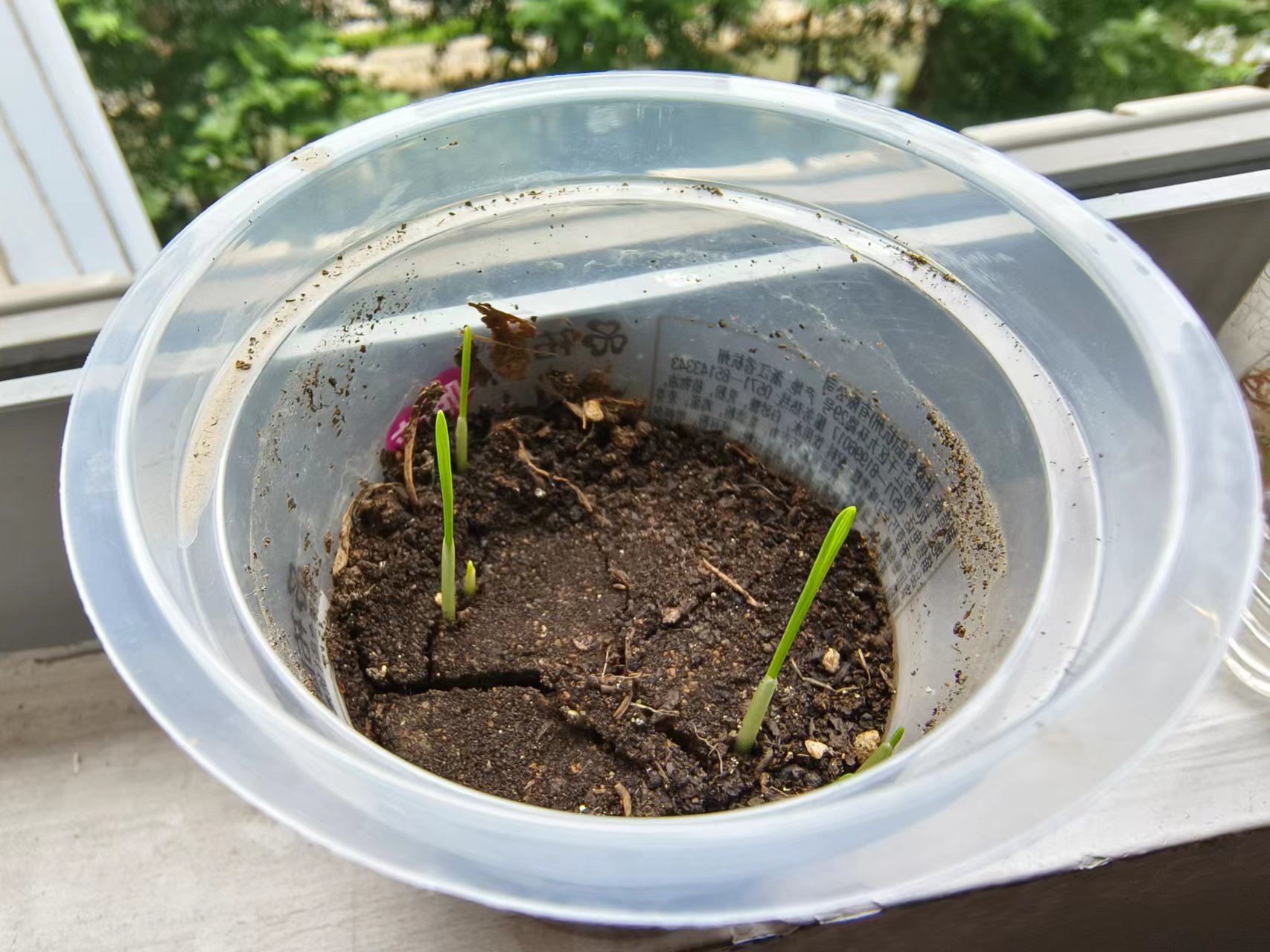 10个少年，192天扎根土地，1场热血难凉、持续加更的青春实录