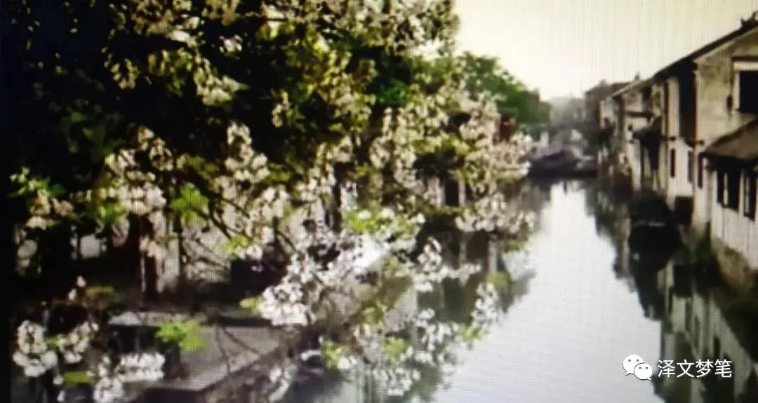 宝应方言趣谈,宝应方言视频