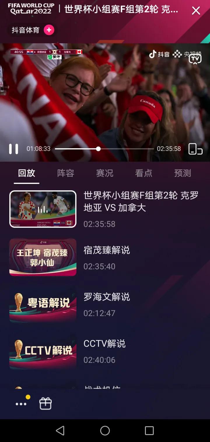 世界杯无障碍直播回放日本,世界杯直播录像回放日本