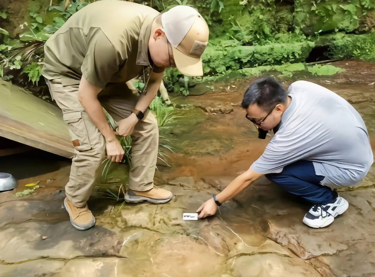 唯一一个在餐厅发现的恐龙足迹,四川餐厅发现恐龙足迹