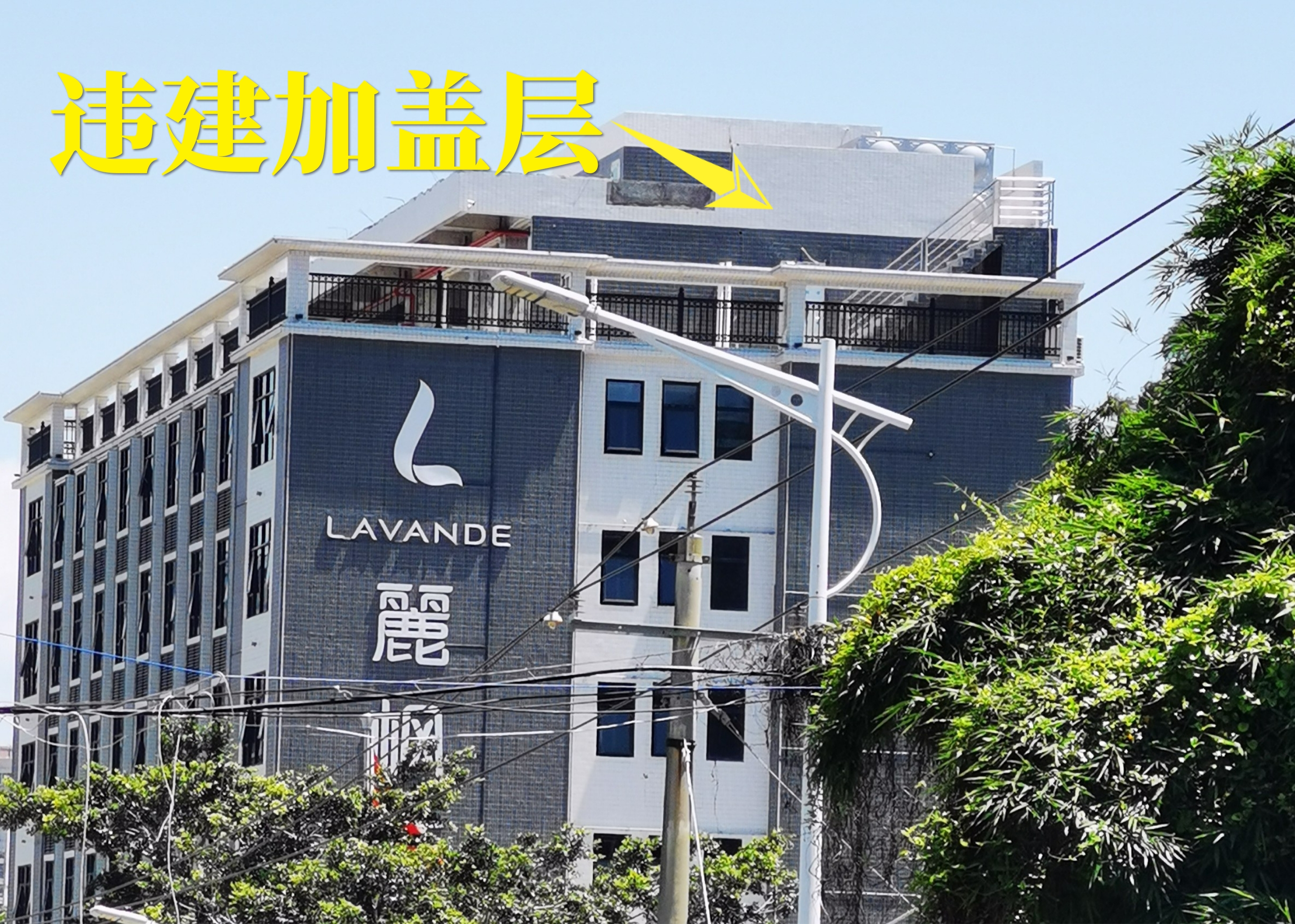 一审判决认定违建租赁合同无效 (虚假租赁合同阻碍执行判刑)