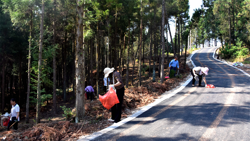 精雕细琢“绣”出美丽家园新画卷——富源县竹园镇创建国家卫生乡镇工作纪实