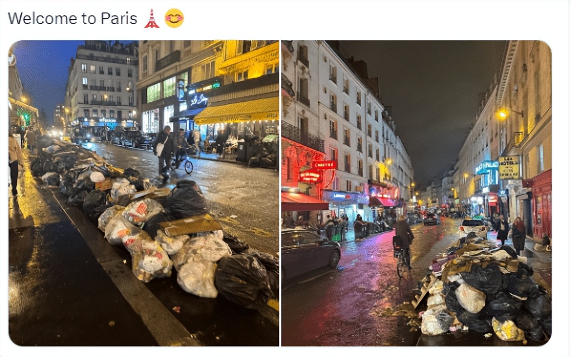 花170万欧元治理，仍有600万只老鼠，巴黎决定另辟蹊径：和鼠共存