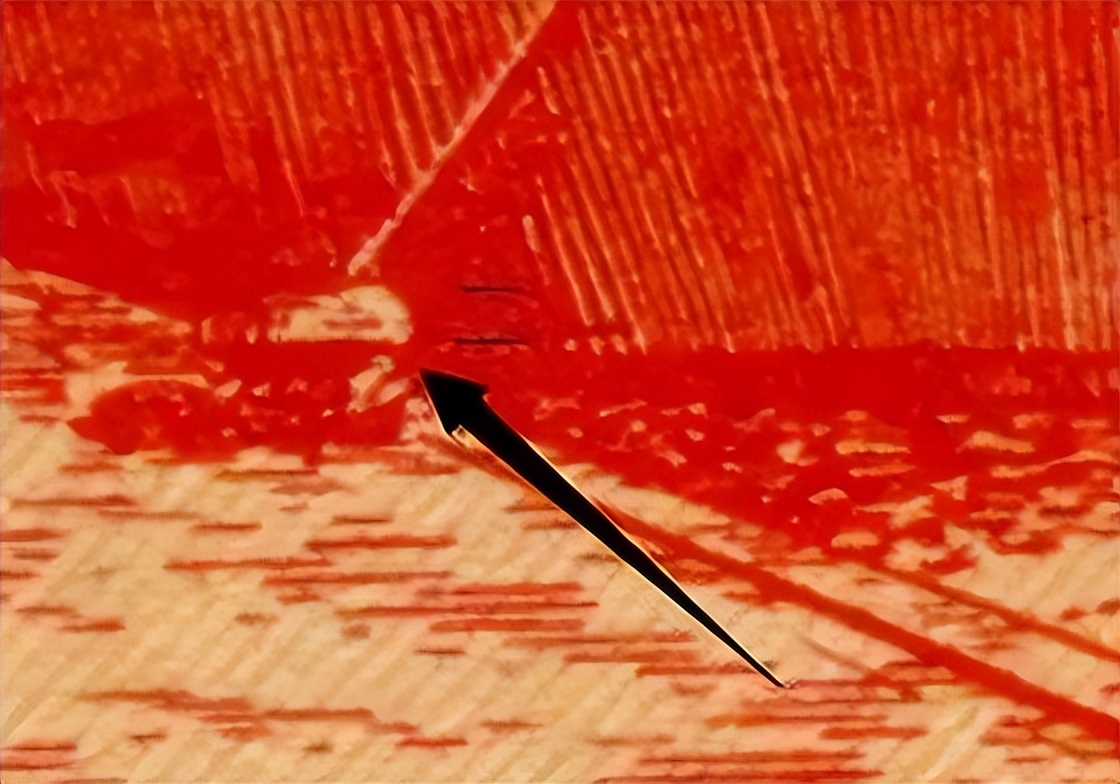 05版人民币各个券别防伪特征,用荧光灯辨别老版人民币真伪