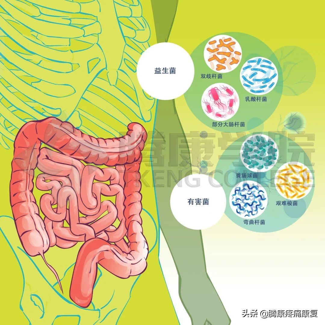 人的情绪为什么会影响肠胃功能,情绪产生的神经生理机制