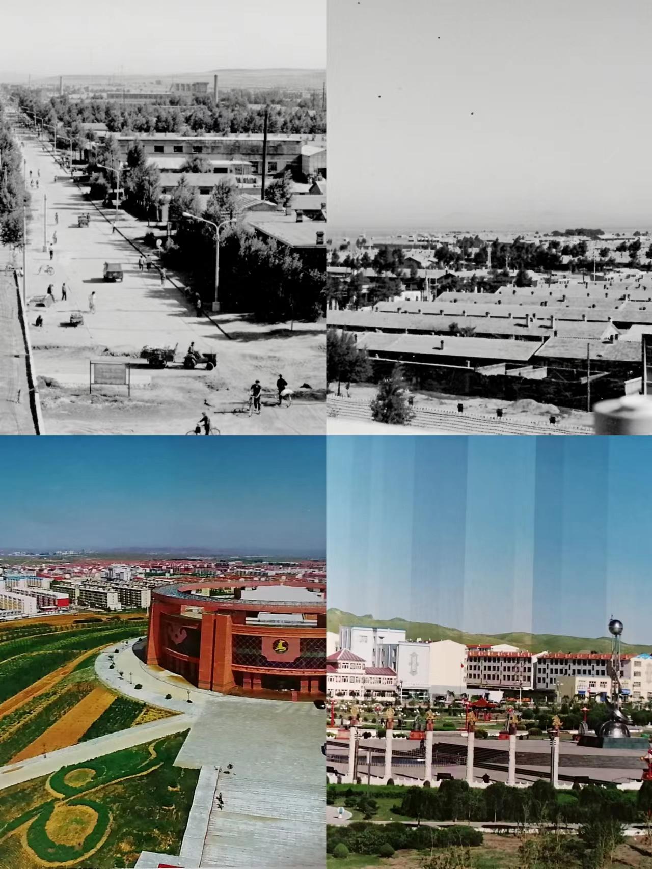 我亲身经历的社会事件作文,社会经历和感悟