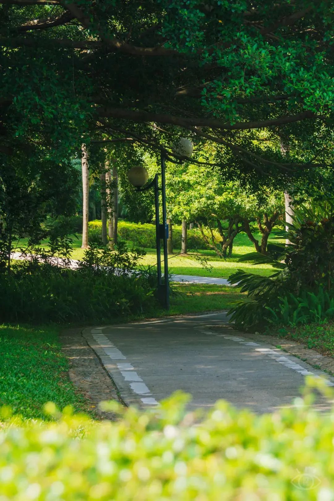 深圳地铁五号线十号线游玩地点,深圳地铁12号线最新最全线路图