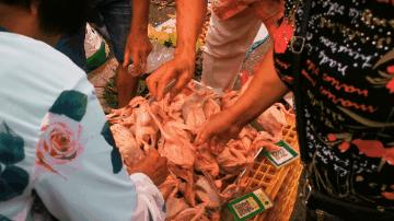 中山为什么出名,中山为什么这么值得买