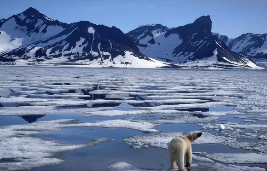 北极大陆架划界的国际法问题研究,北极大陆架划界