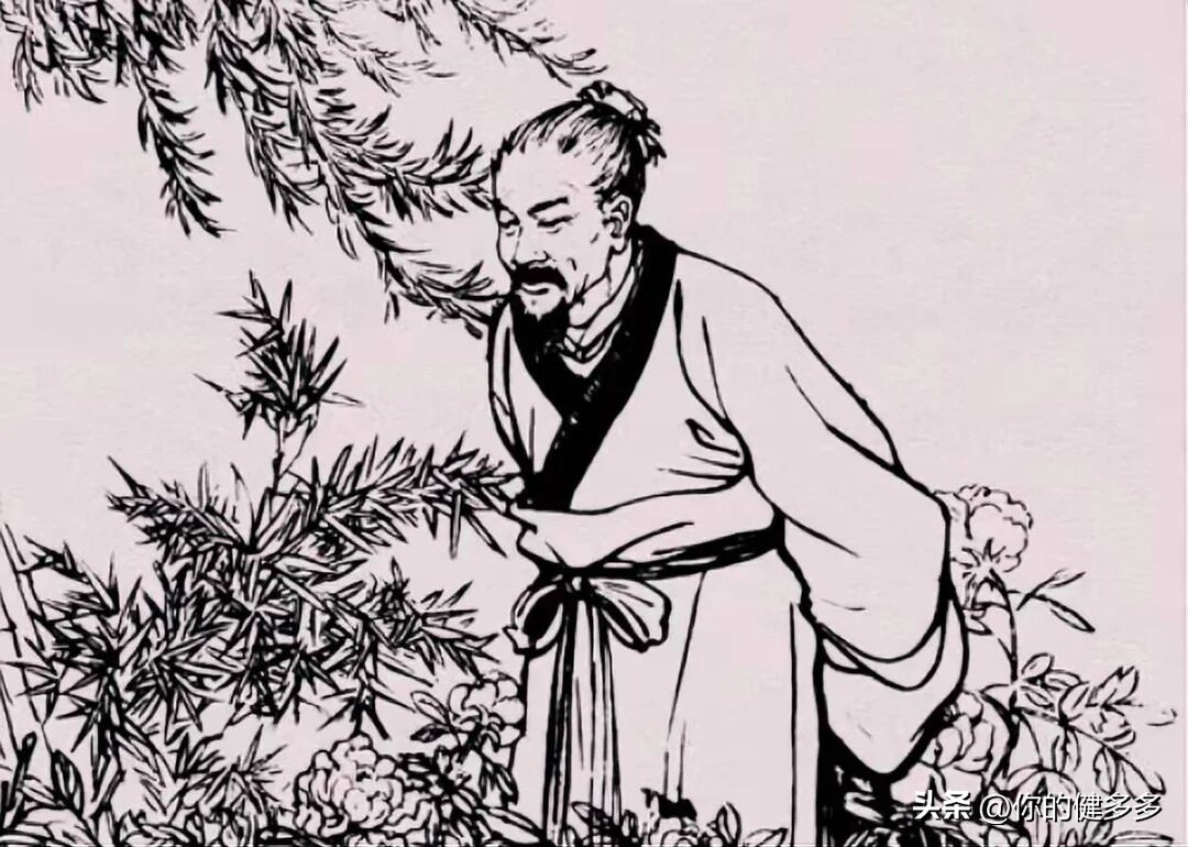 民间故事男人好心救助断腿乌鸦,民间故事男子救了一只狐狸