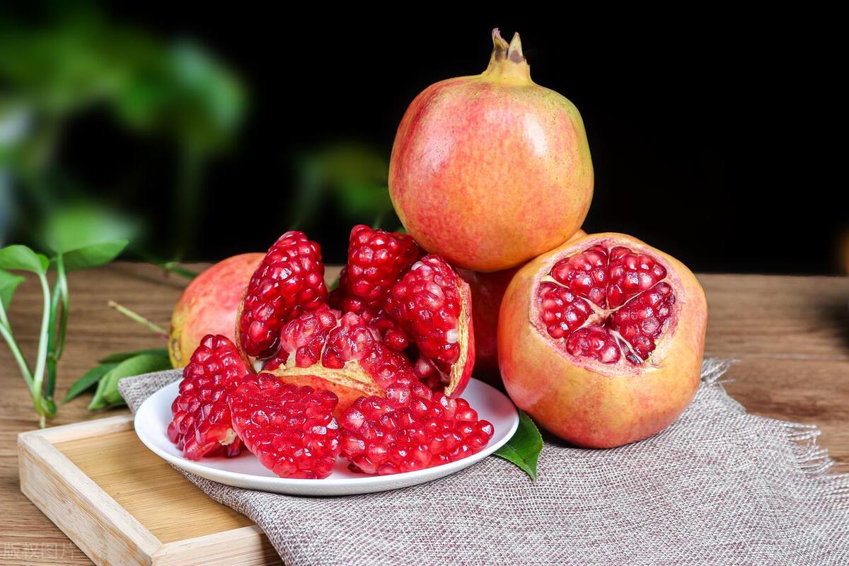 门前栽什么树聚财招财,门口种树富几代人