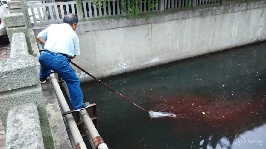 河里捞红虫赚钱吗,捞红虫一天能赚一万元