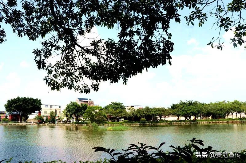 大圩二中06届,大圩二中运动会