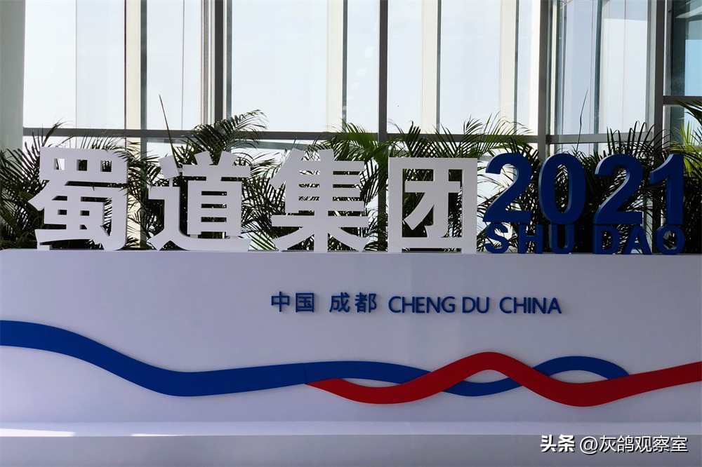 2015四川重大事件,四川省十大重大事件