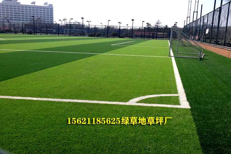 足球场草坪价格是多少钱一平方,足球场草坪的价格是多少