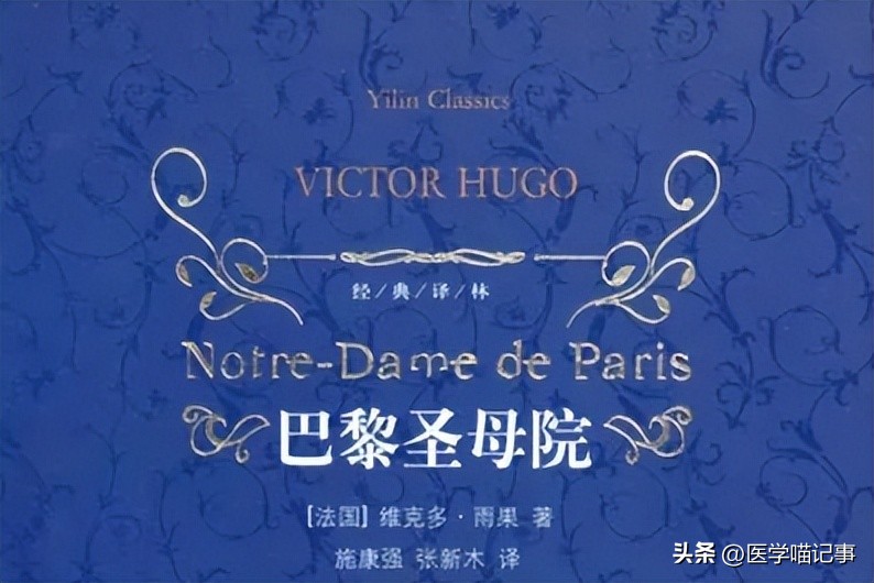 雨果诗歌和小说创作,雨果诗歌和小说创作的成就