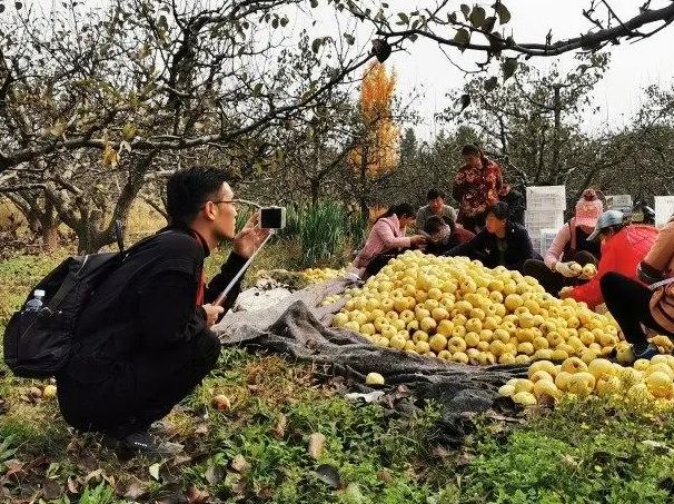 嗨·新场景（场域、场销、场播）·共仓链·自媒跳动新型直播方式