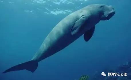 男女性别差异教育课程,儿童性别与生理教育