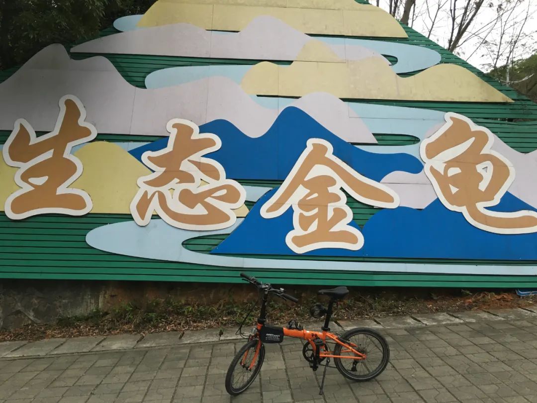 旭光车行雅迪电动车,旭光单车