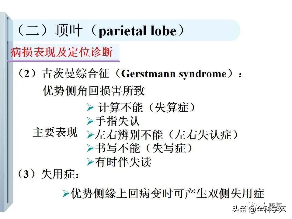神经系统的影像与解剖定位,最全神经解剖图