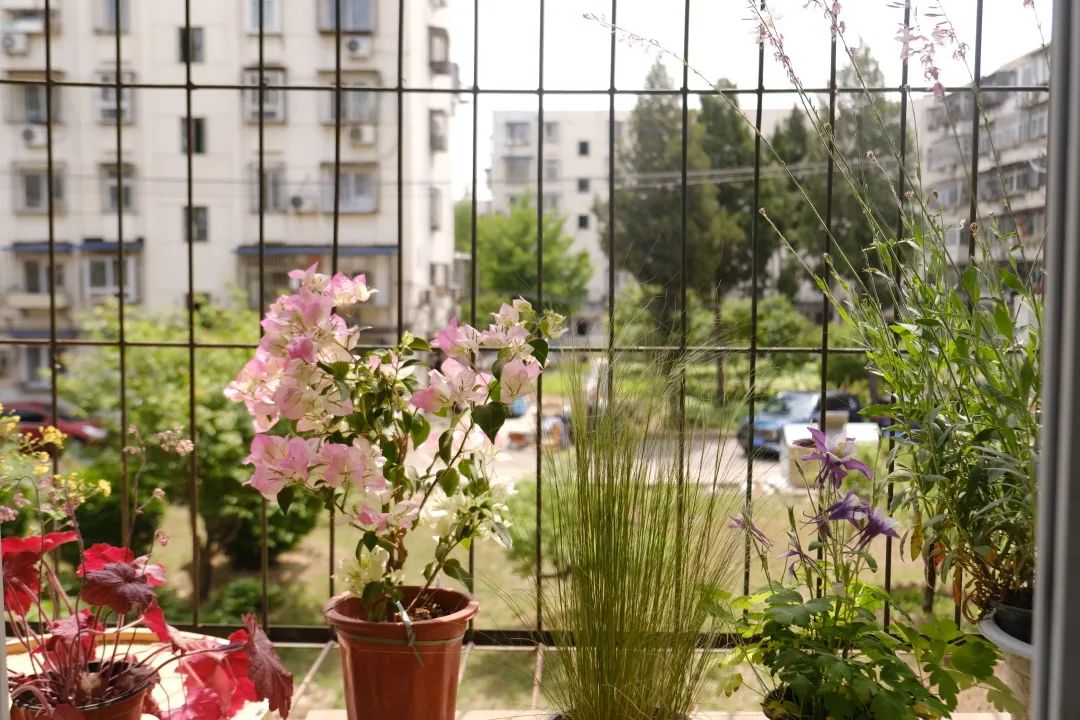 一个人住两个家？她的帝都生活，我羡慕坏了