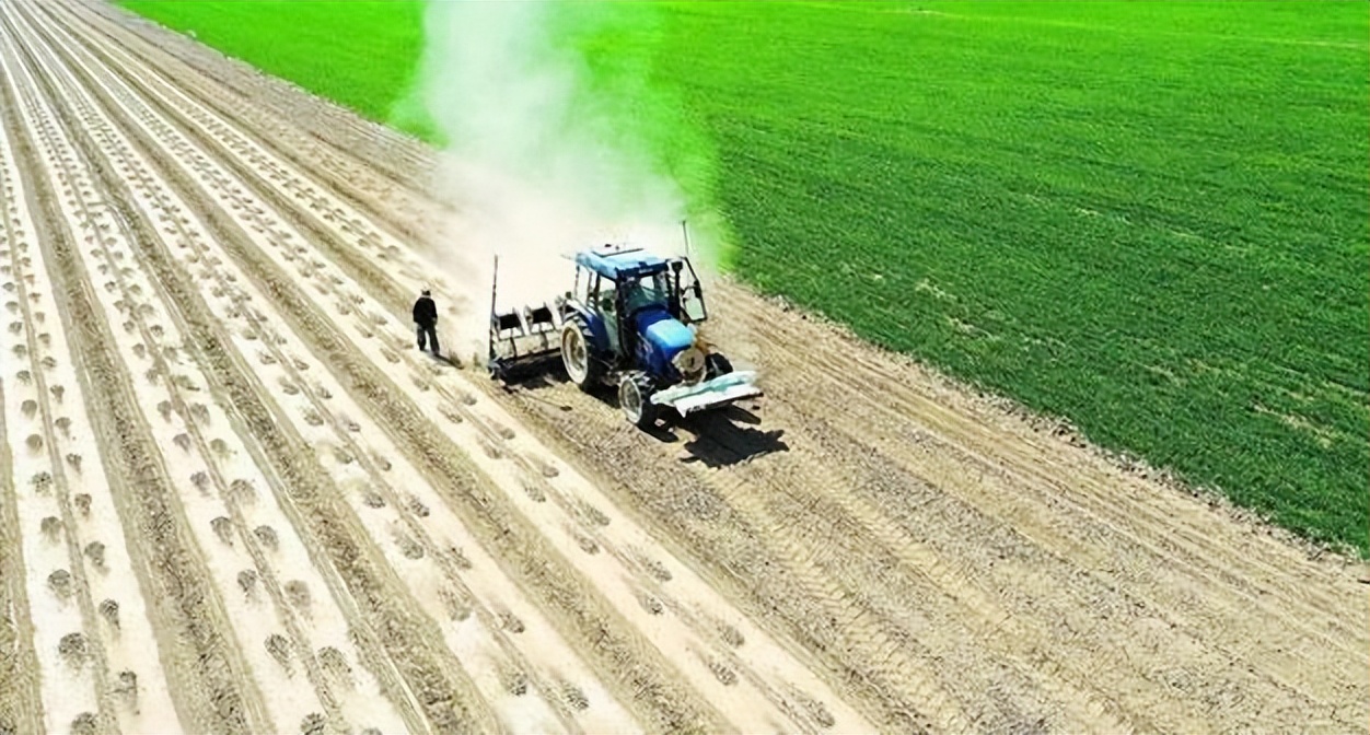 农业资源高效利用与生态环境保护,农业生态保护与经济社会发展