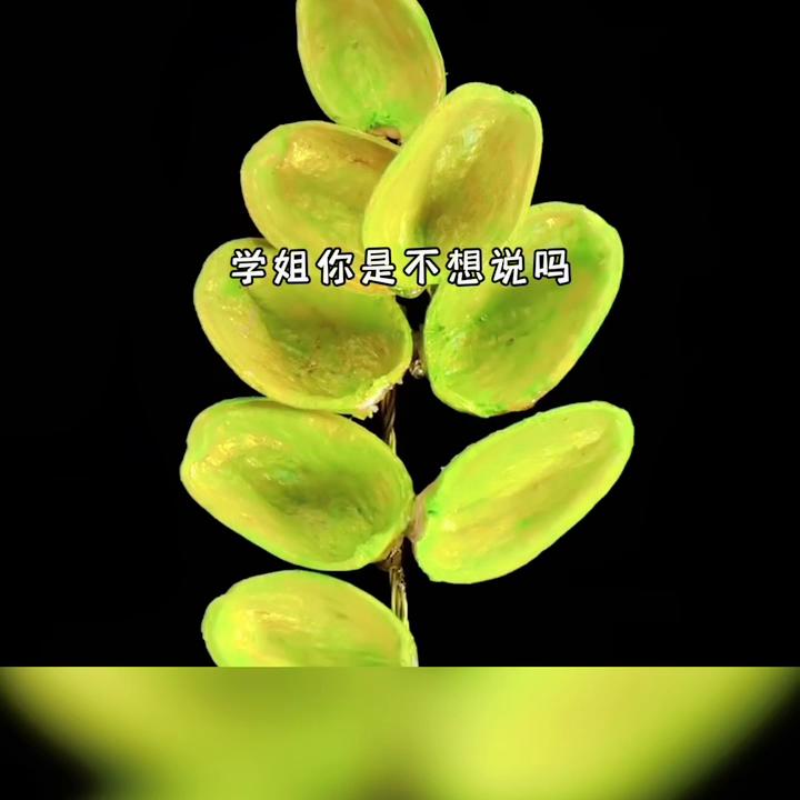 茶茶小说推文,女主是茶茶的小说推荐