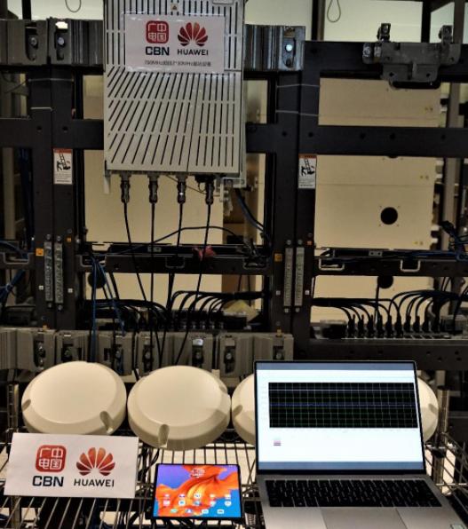 被加拿大誉为国宝,历史上被损毁的国宝