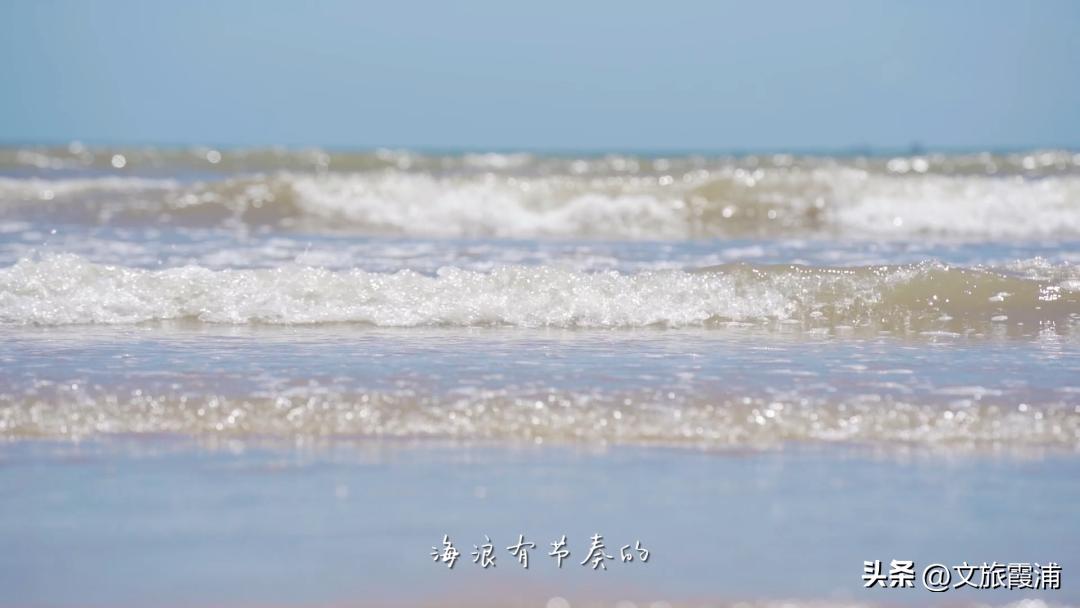 东海1号海钓,东海1号