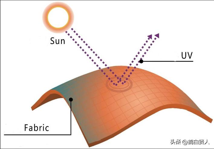 蓝藻的前世今生,蓝藻前世今生