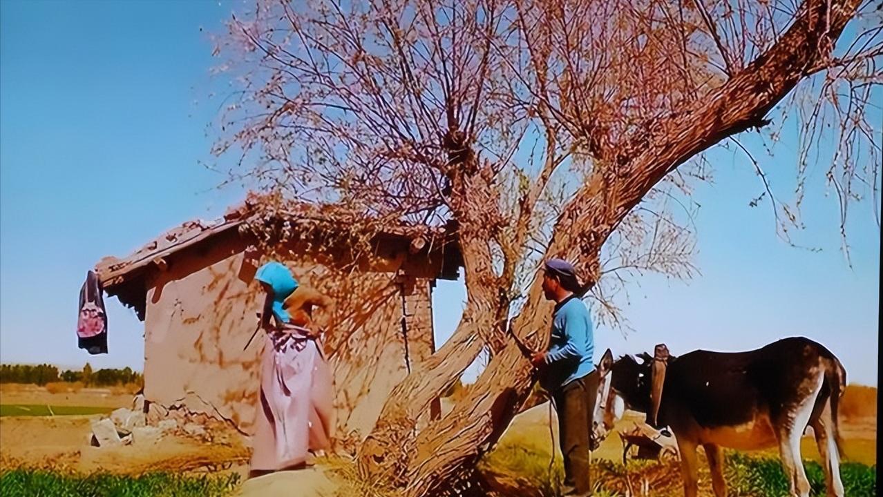 土地《失语者》边缘人物《隐入尘烟》