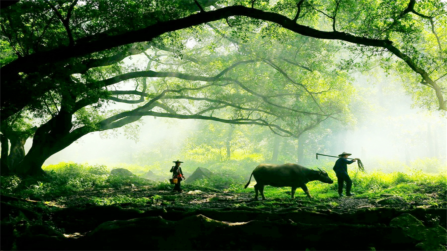 时光一逝永不回往事只能回味对唱,时光一逝永不回往事只能回味