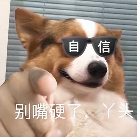 号称“最甜”的小众茶,有清甜味的茶