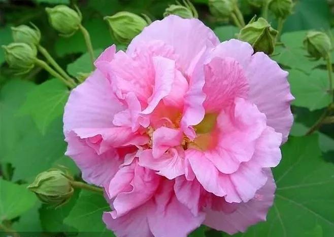 7个城市名字由来,每个城市简称的由来