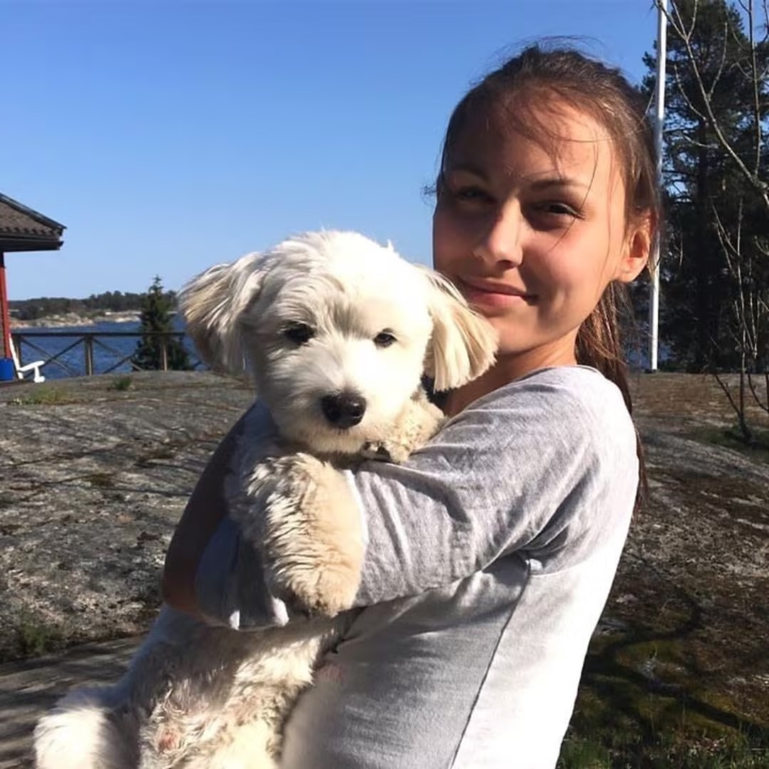 适合家养的最好养的小型宠物狗,最适合儿童饲养的十种宠物狗一览