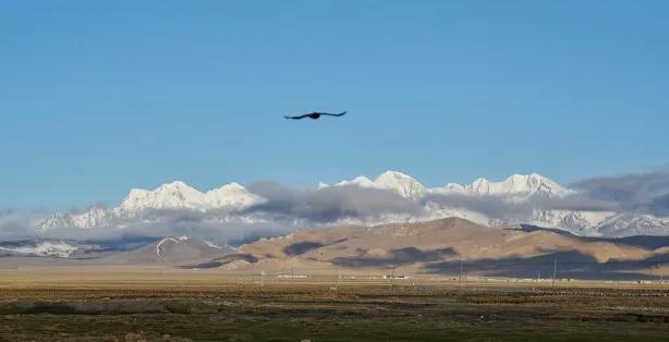 当领导冷落你的时候,如何破解领导的冷落