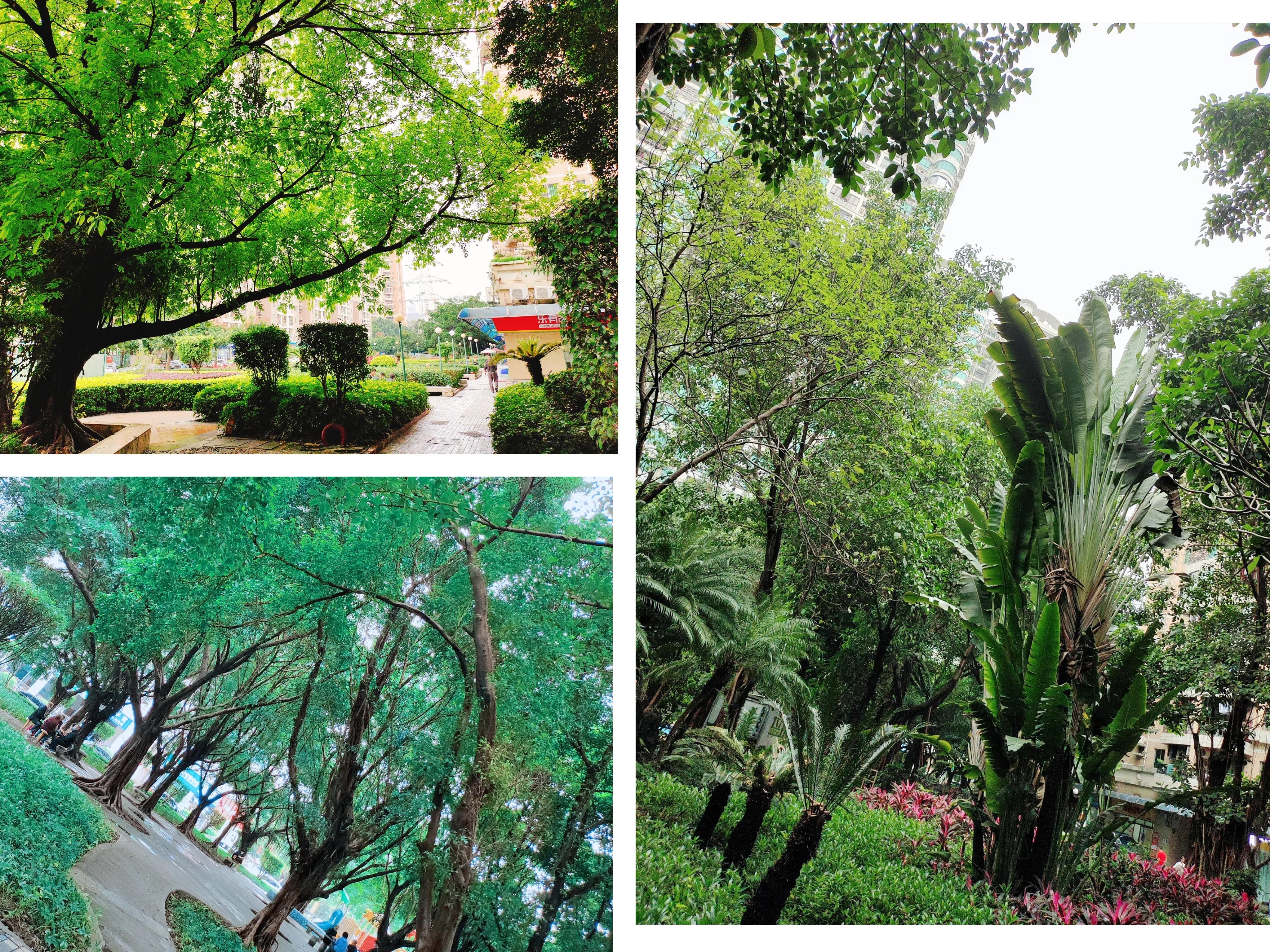 广州买房记录,广州第三金碧