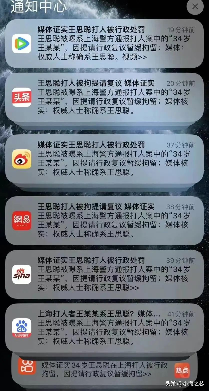 王思聪打人要承担刑事责任吗,王思聪殴打人赔209万属于敲诈吗