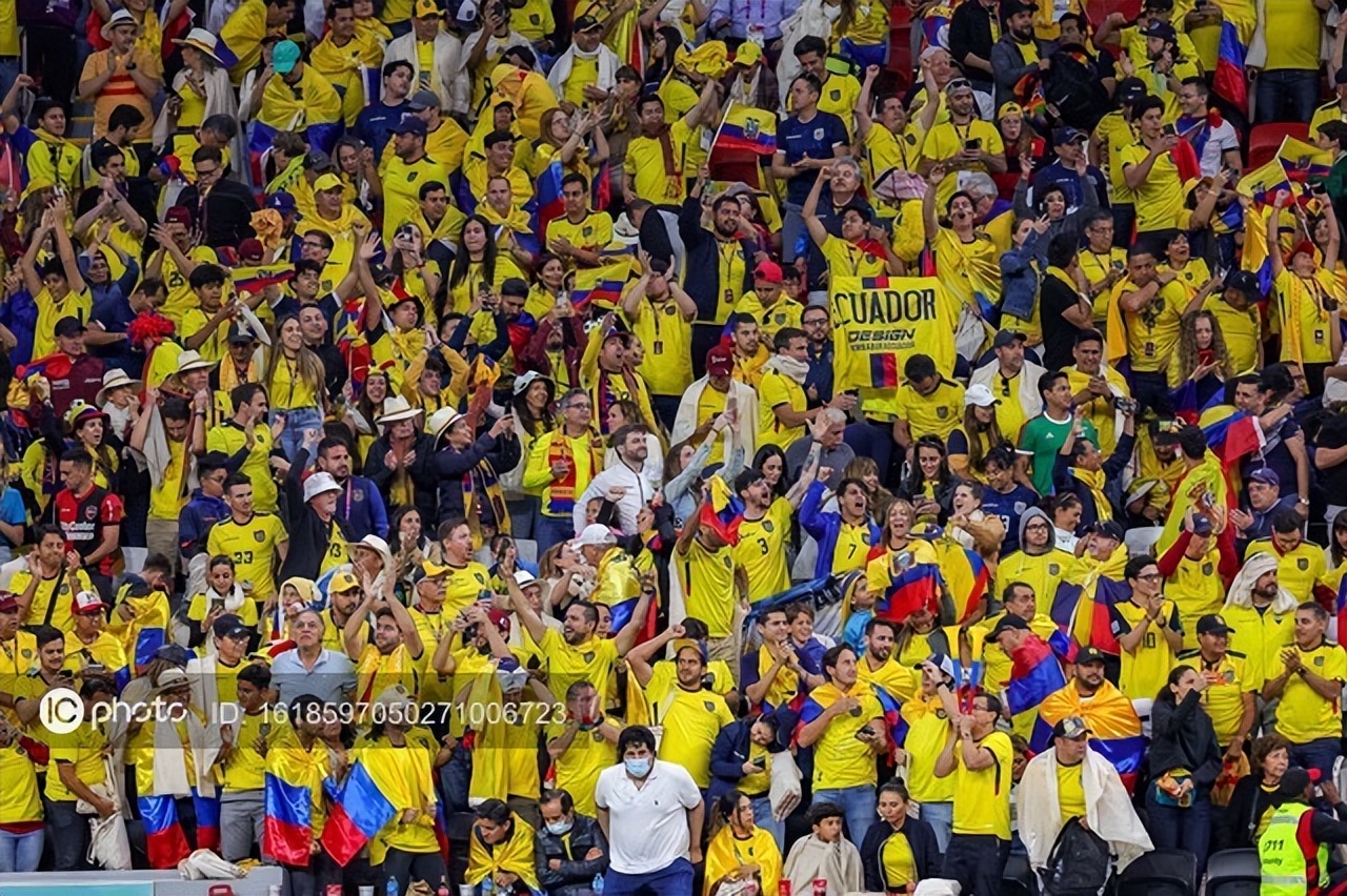 卡塔尔世界杯充满中国元素，唯独缺了它