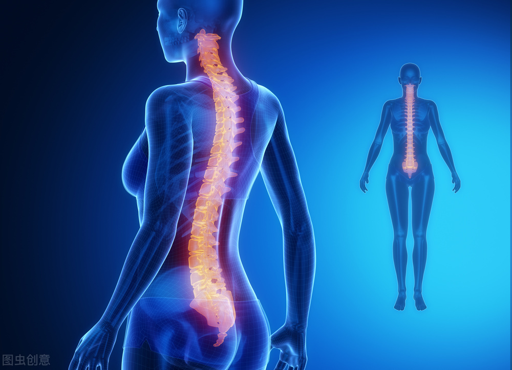 站桩练拳怎么打,站桩打拳