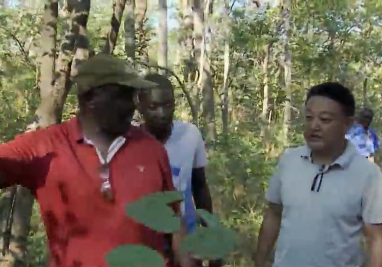 2009年，福建小伙进入非洲原始丛林里创业，第一年就赚了6000万