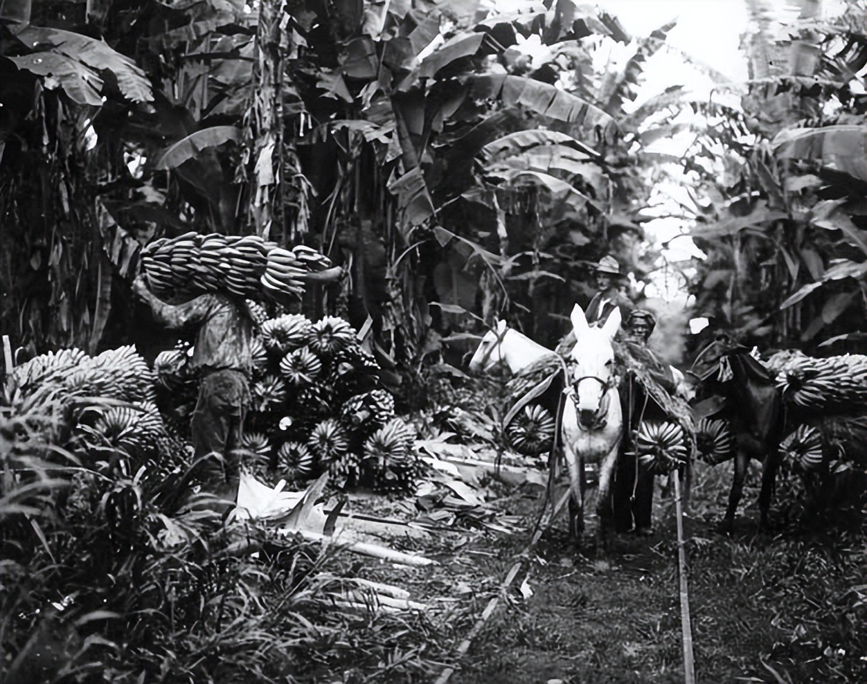 世界杯足球十大暴力冲突,足球世界杯史上最惨烈的比赛