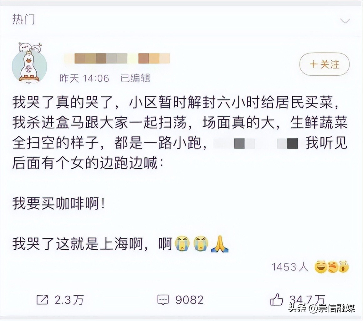 上海的浪漫鲜花,上海最美的鲜花