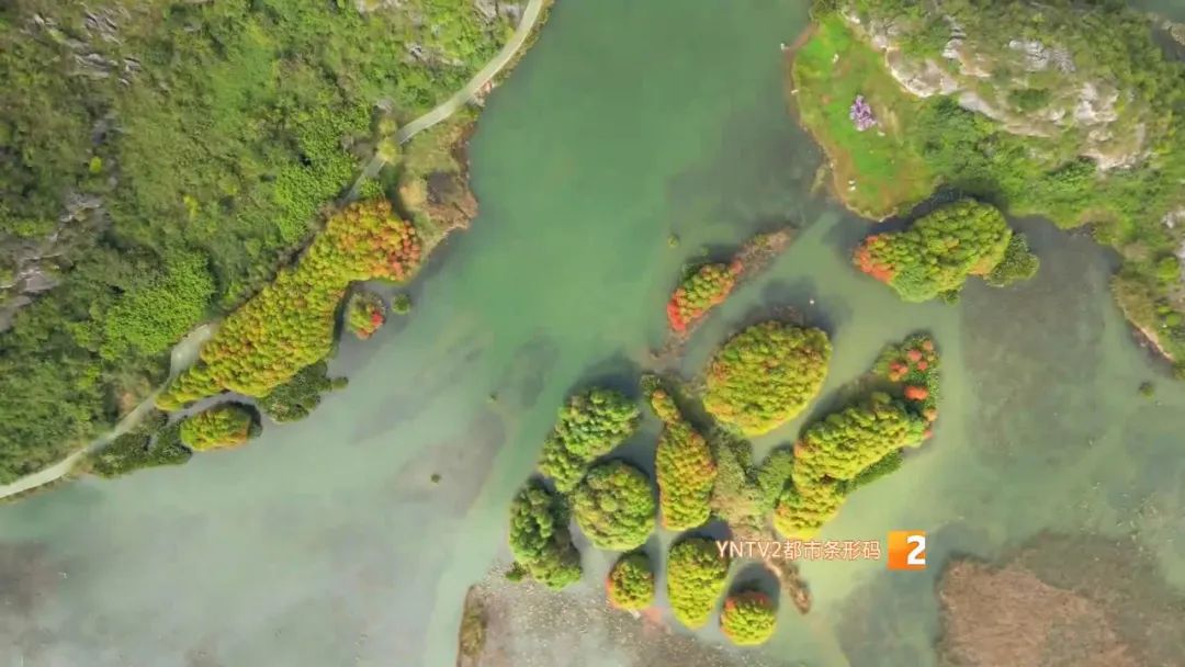 秋天的云南哪里漂亮又美丽,有一种美叫云南的秋天美景