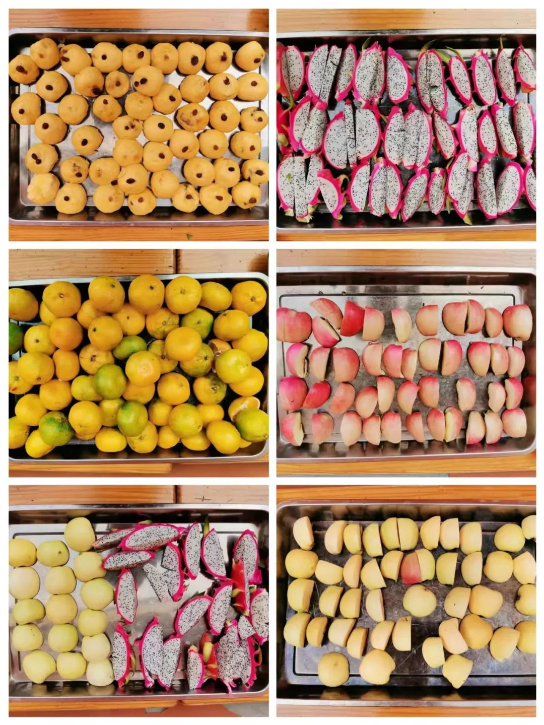 不负时光幼儿园开学活动,开元路幼儿园开学第一天