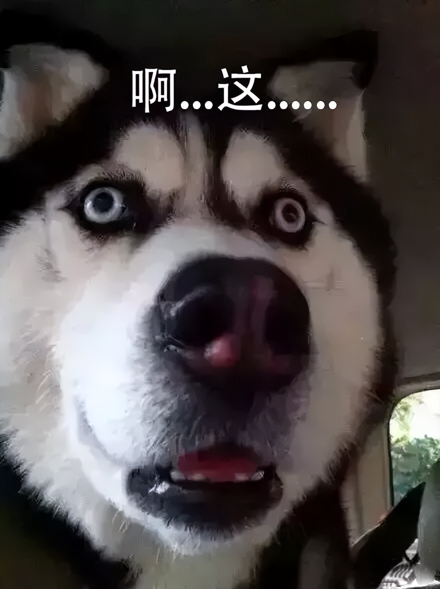 卡西欧g-shock系列蛙人手表带,卡西欧g-shock蛙人动物系列