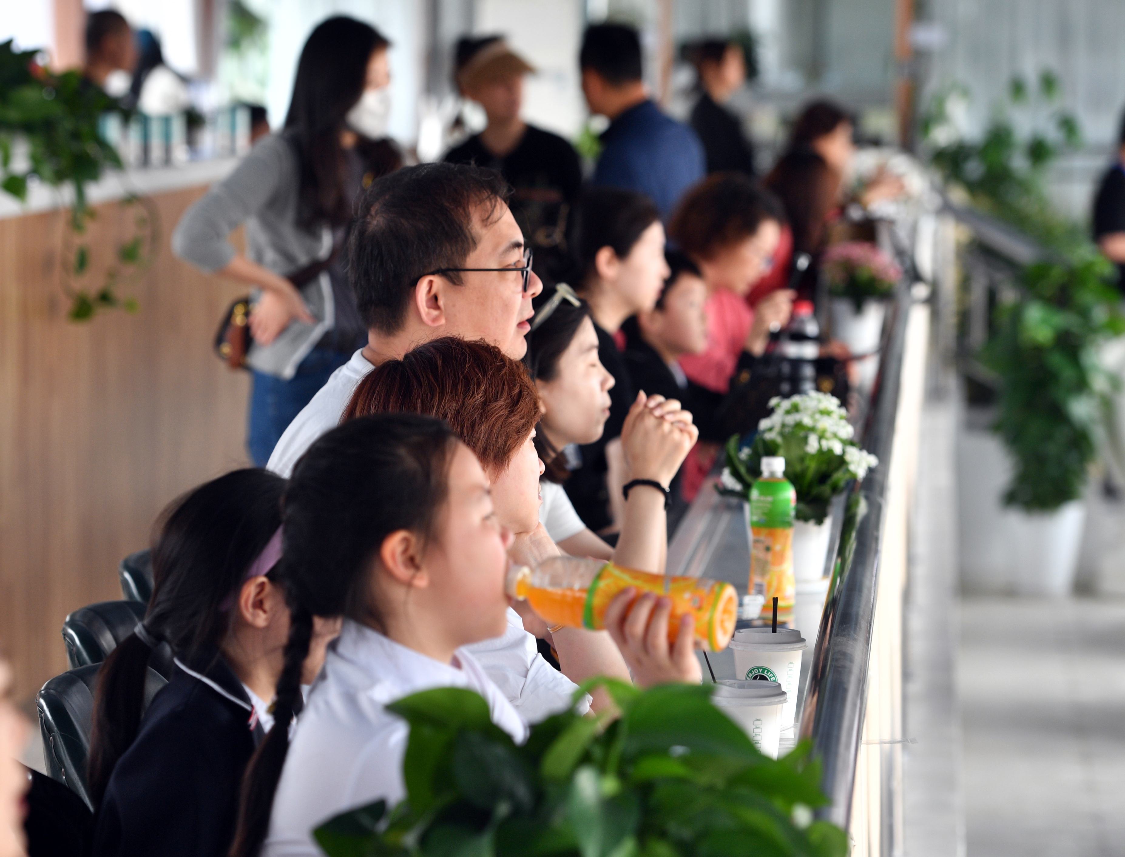 2024上海马术冠军赛比赛结果,跃马少年