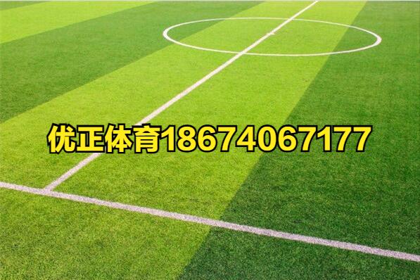 球场铺的塑料草坪叫什么,学校草坪是什么塑料
