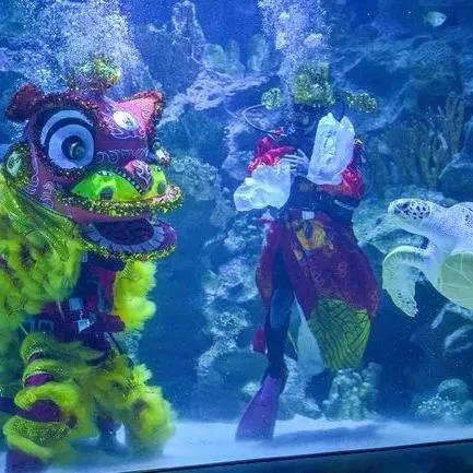 2024春节广州游玩攻略大全,过年游广州超详细攻略发布